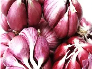嘉祥红皮蒜 - 知乎