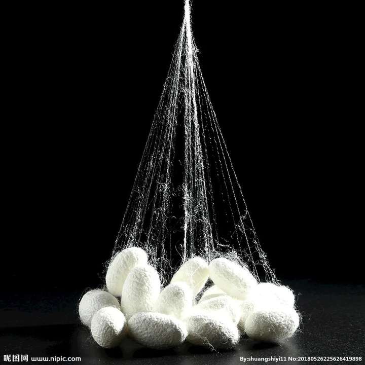 桑蚕丝怎么辨别真假(如何辨别人造丝和桑蚕丝)插图(6) 桑蚕丝怎么辨别真假(如何辨别人造丝和桑蚕丝)插图(6)