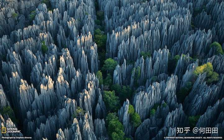 为什么喀斯特地貌植被覆盖率低