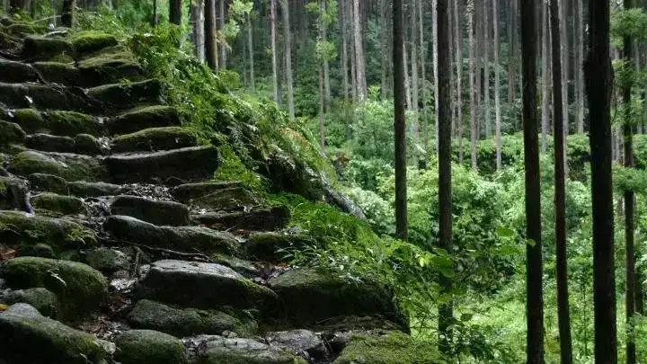 日本熊野古道 探寻藏在秘境之中的朝圣之路 知乎