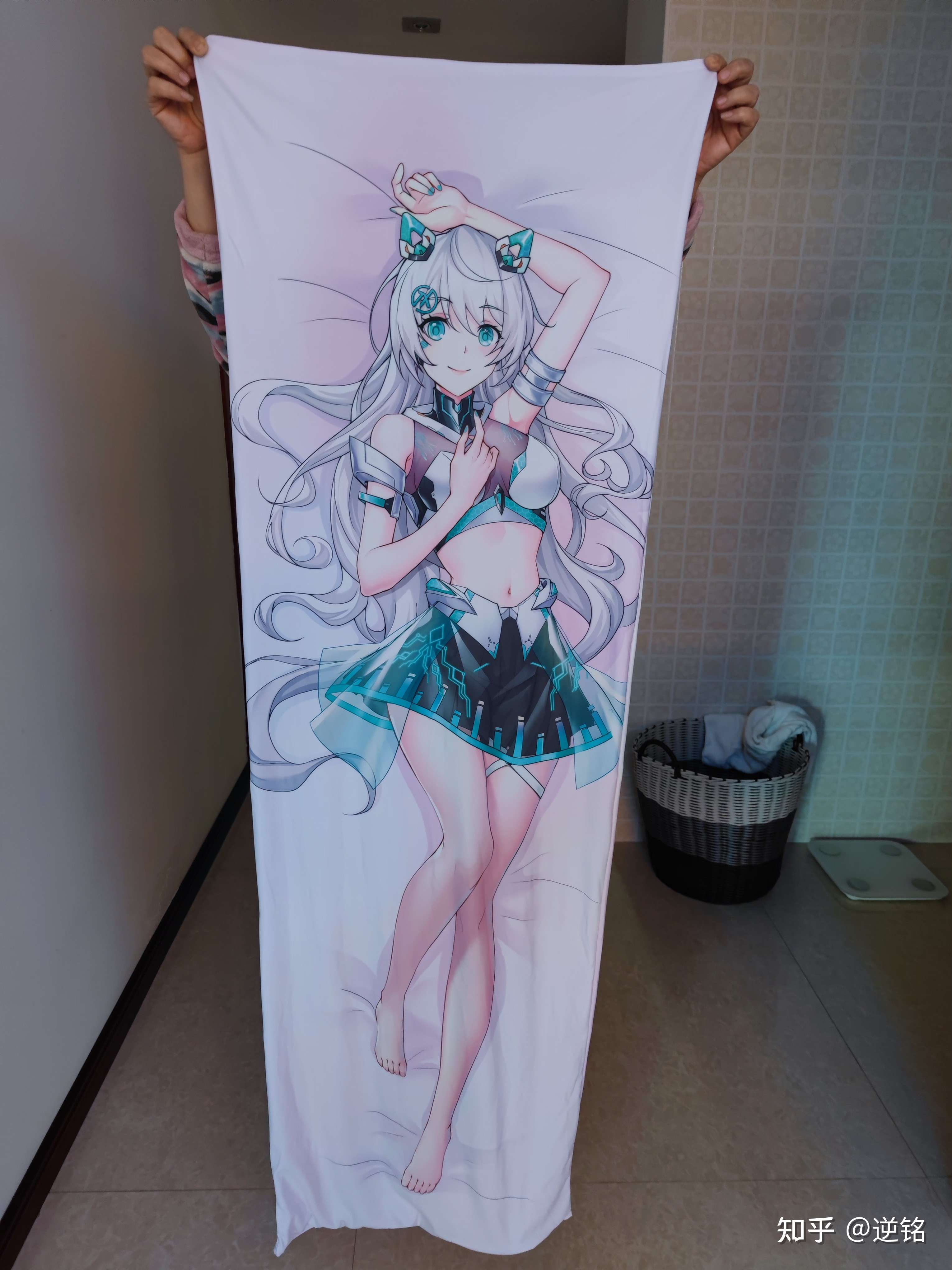 逆铭 的想法: 感谢华硕送的新年礼物 ,天选姬的抱枕,… - 知乎