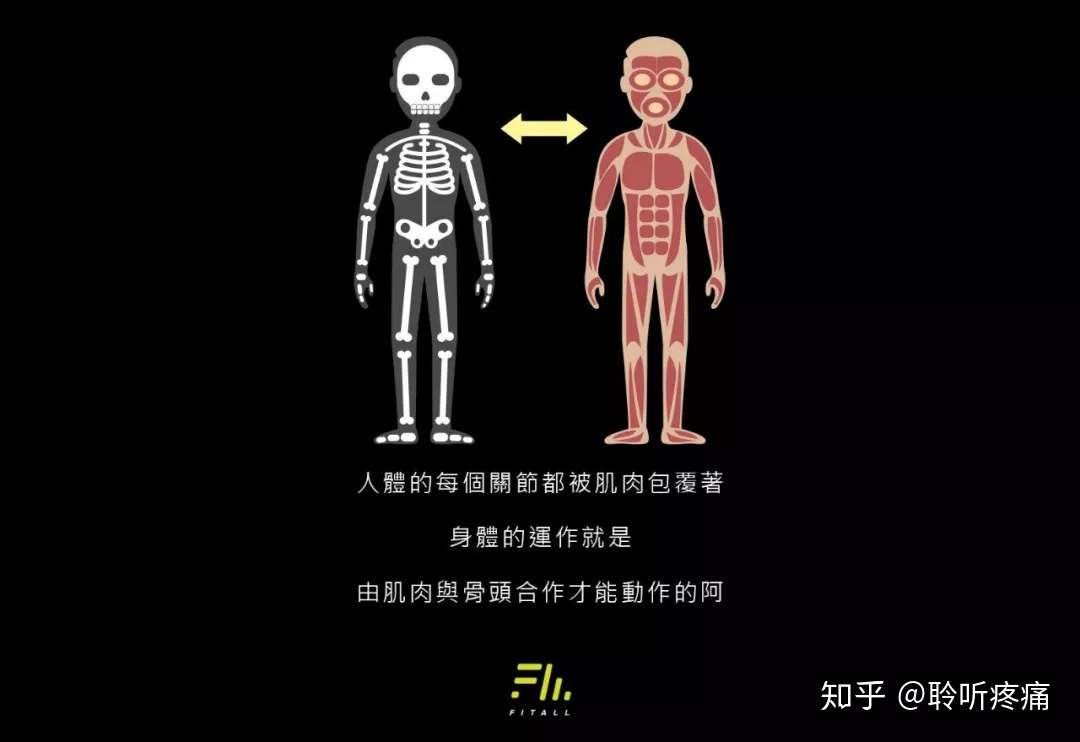 身体肌肉失衡的常见九大症状 看看你能对上几个 知乎