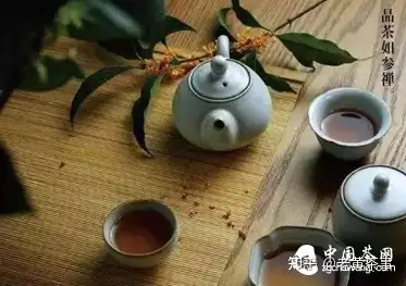 老黃茶事人生如茶不同年齡不同的茶