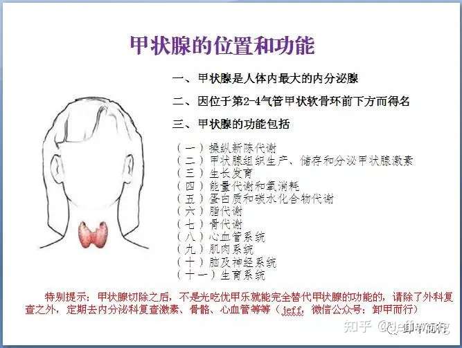 第67期 研究表明 群聊 同伴支持治疗 能有效缓解甲状腺癌患者术后的抑郁状态 知乎