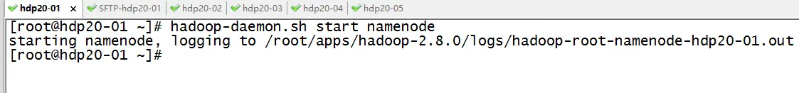 图片[3]-Hadoop系列4–HDFS集群搭建实战之HDFS系统部署-卡咪卡咪哈-一个博客