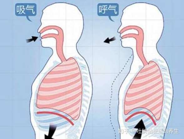 洗sui功中的呼吸吐纳和普通吐纳有什么不同 知乎