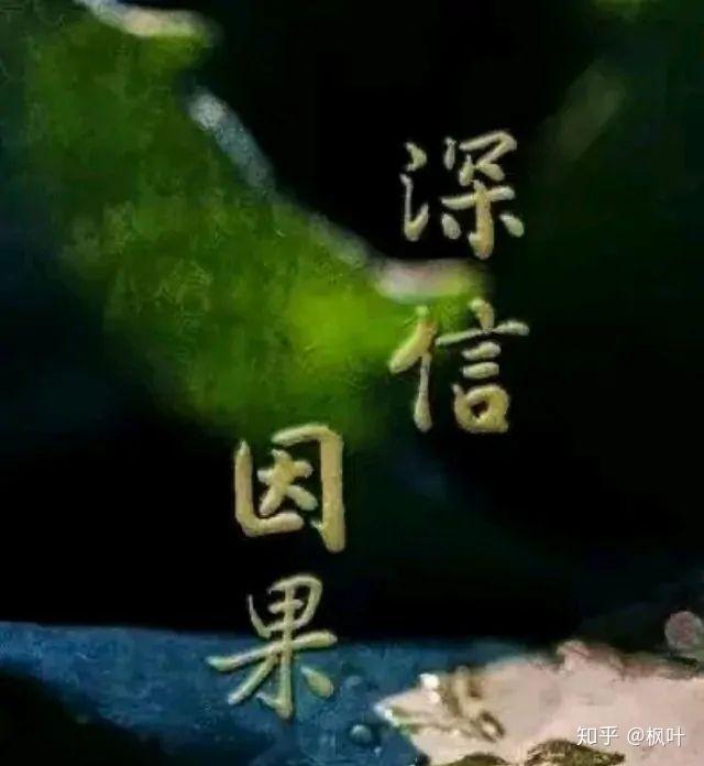 无意杀生有报应吗?