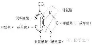 几首「生化口诀」 有解析