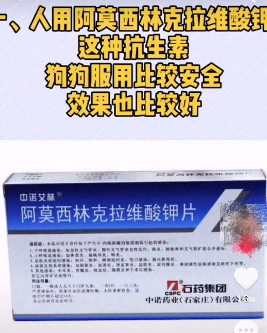 能在药店买到 人用药 给宠物吃吗 知乎