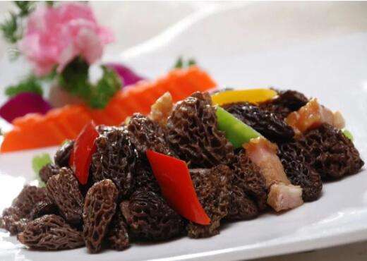 羊肚菌最佳烹饪方式之红烧野生羊肚菌