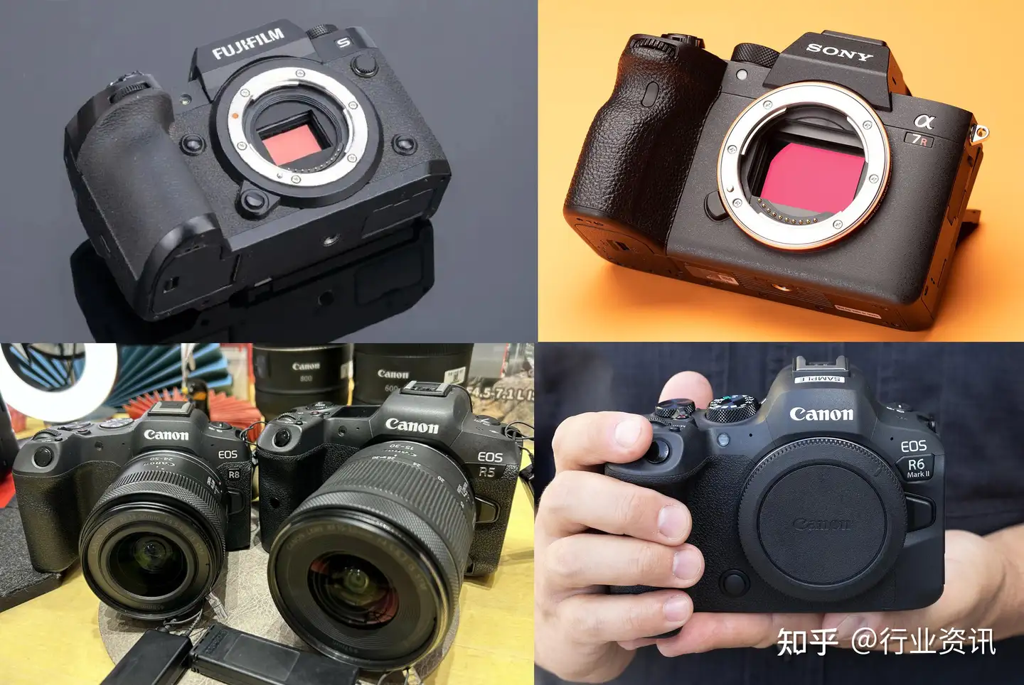 Camera canon/panasonic/olympus/...6台/-