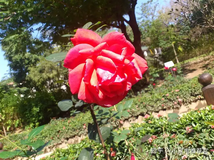 全程干货（心情随笔1）心