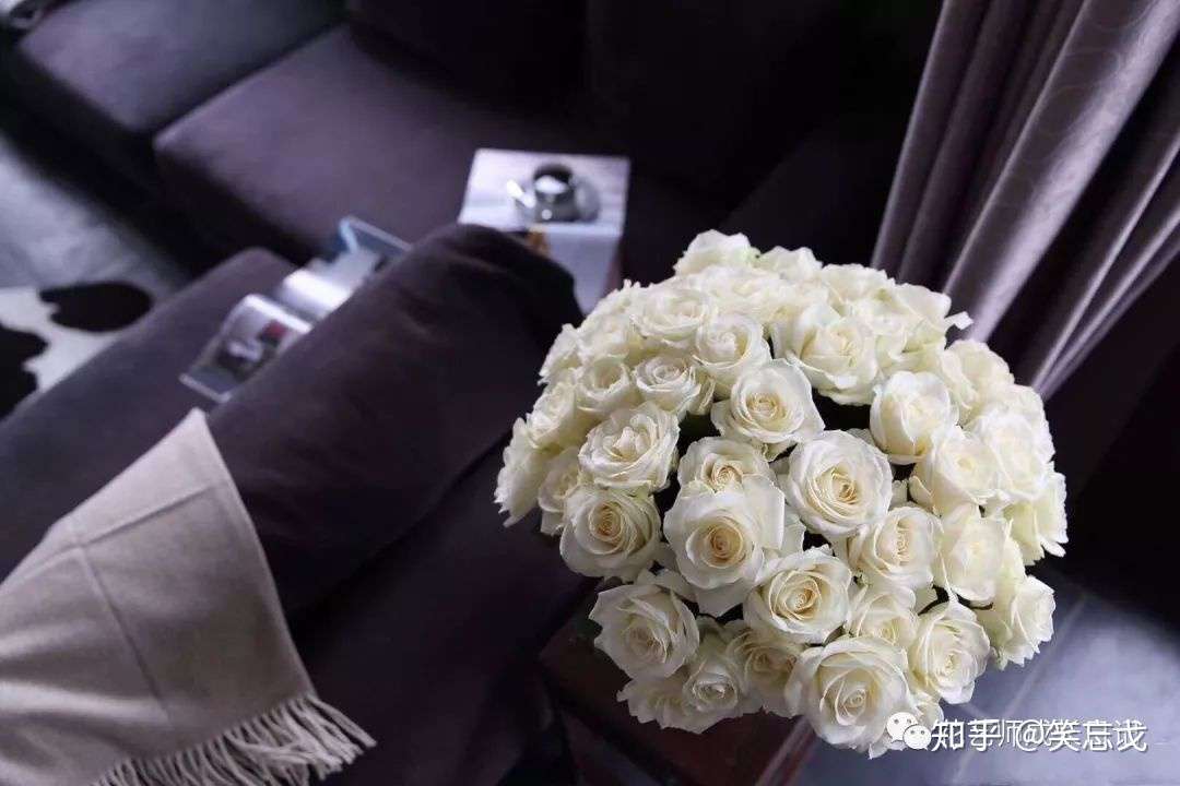 10款白色玫瑰品种介绍 每一款都纯洁如白月光 知乎