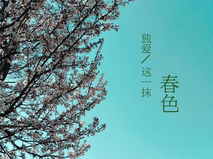 水桶无短板,这样的vivo S9你可满意?