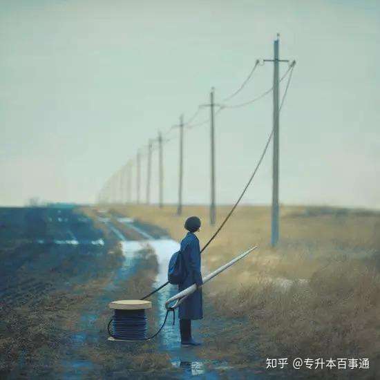 济南专升本:专升本和高考比那个难呢?-第2张图片-专升本网 济南专升本:专升本和高考比那个难呢?-第2张图片-专升本网