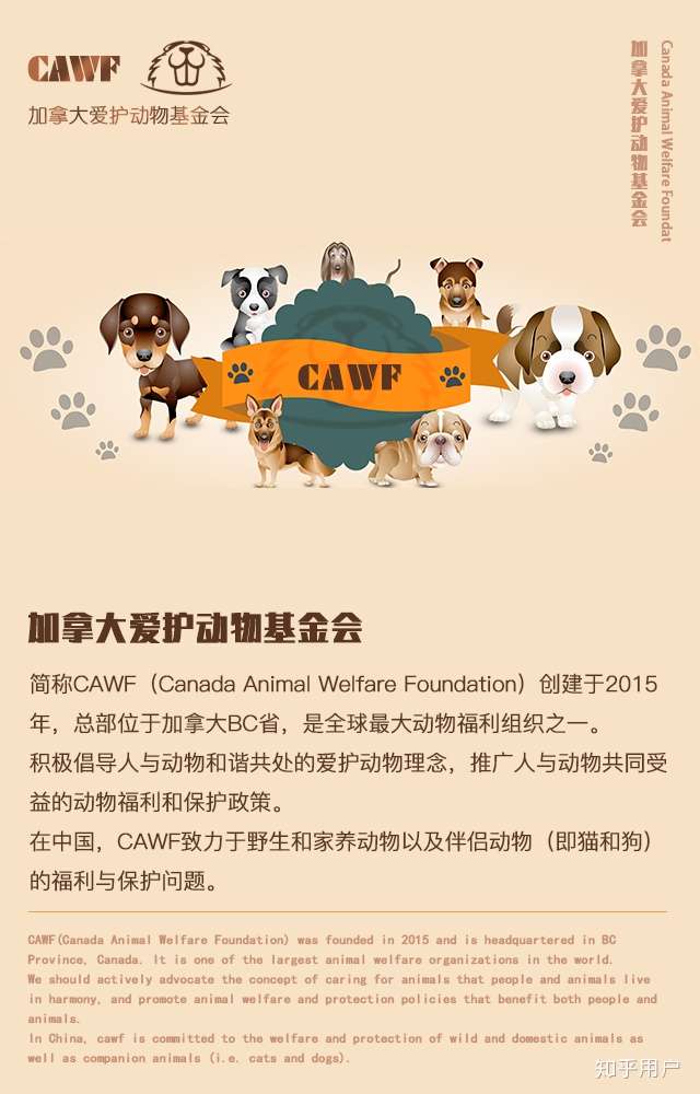 世界上有哪些知名的动物保护组织