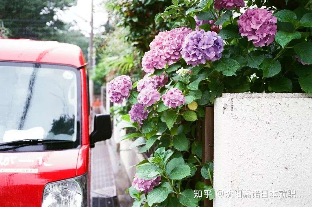 为了雨伞不被偷走 你知道日本人有多努力吗 知乎