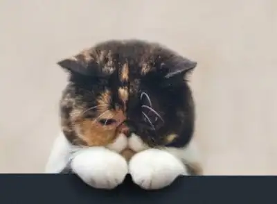 还在讨好别人委屈自己4步帮你改变讨好型人格