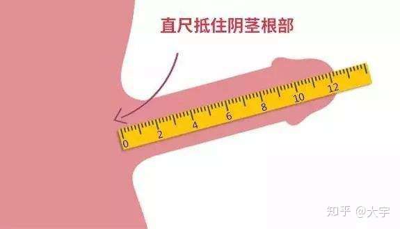 从11cm,增大到14cm? 你是从哪里开始量的?