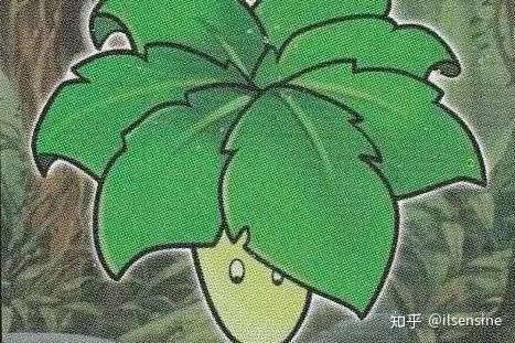 植物大战僵尸雨伞叶子图片