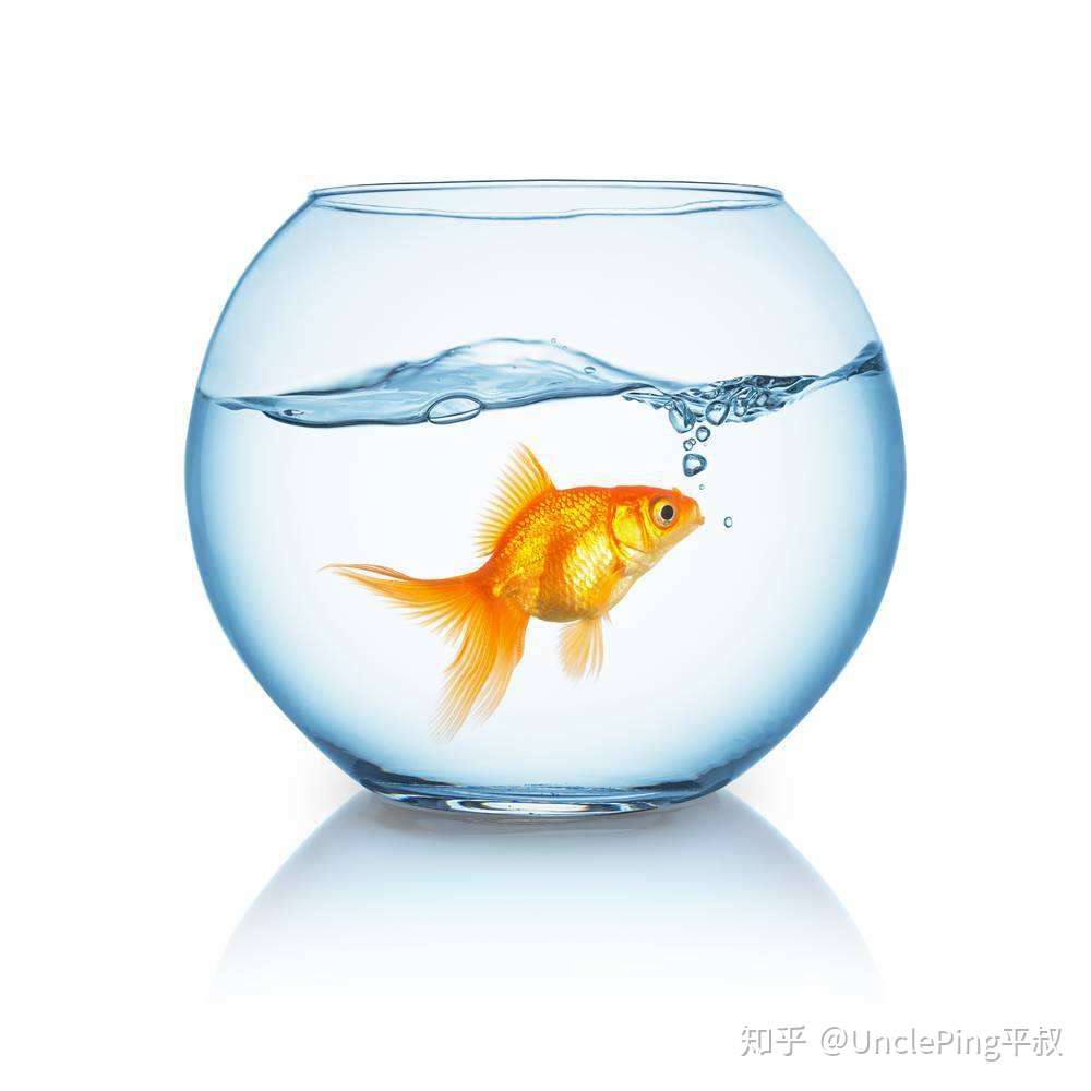 为何搞懂查理 芒格100个思维模型却然并卵 知乎