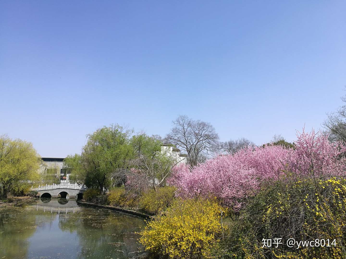 春日游采石 知乎