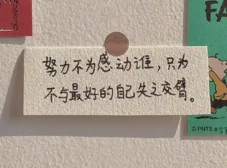 你看過哪些值得摘抄的有道理的勵志句子?