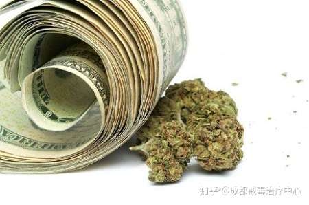 大麻 吸食后身体有哪些不良反应 知乎