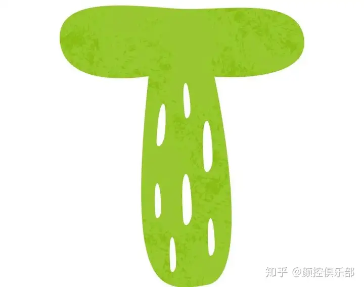 毛孔