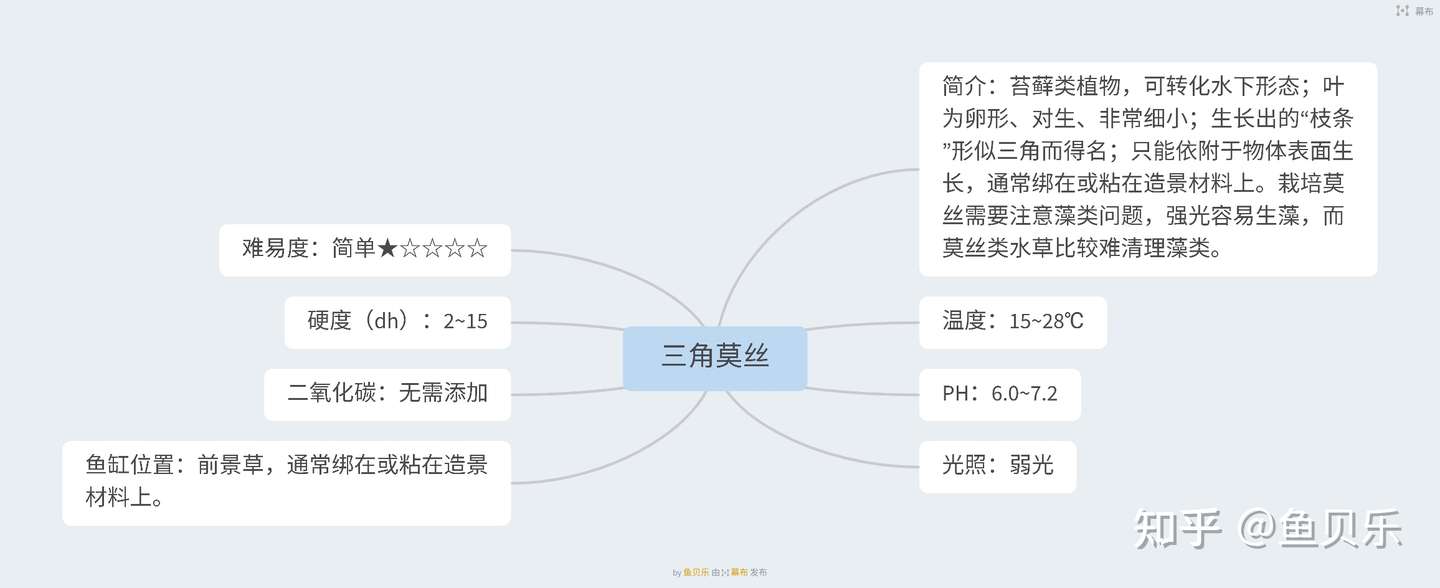 揭秘 113种水草的前世今生 知乎