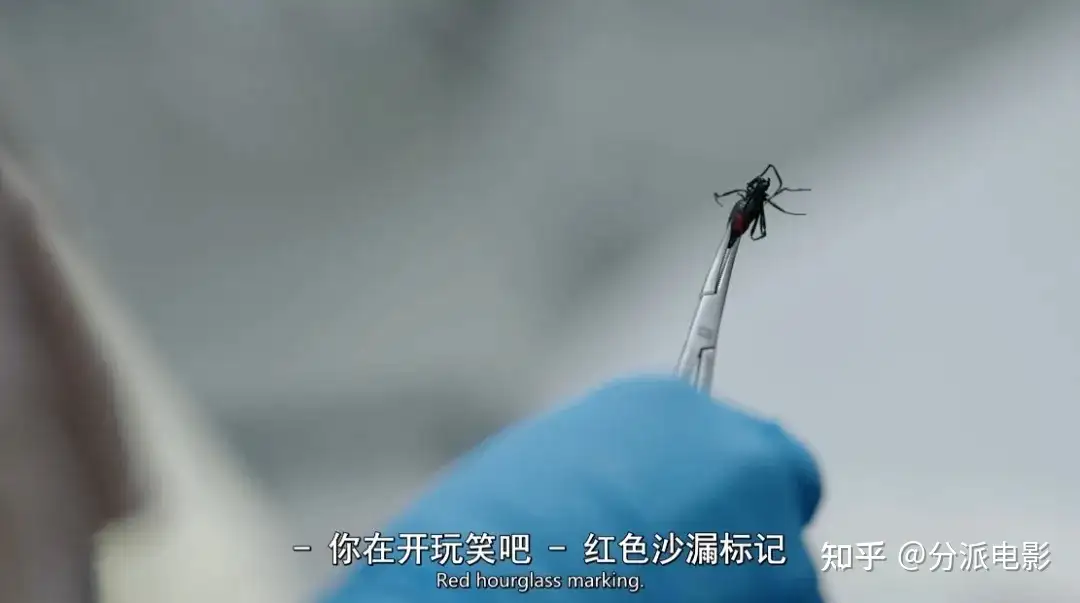 《匹兹堡医护前线》豆瓣9.1分,又一部年度最佳!