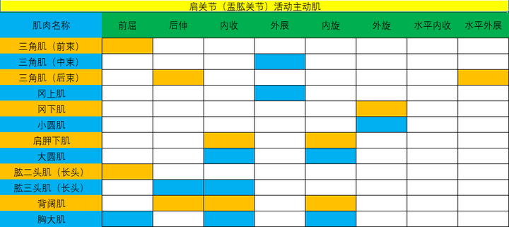 肩关节的各活动度主动肌大致如下