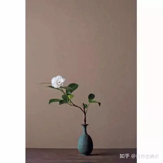 一期一会 一日一花 知乎