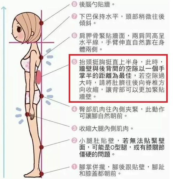 每天六分钟 五个动作教你改善骨盆前倾和腰痛 知乎