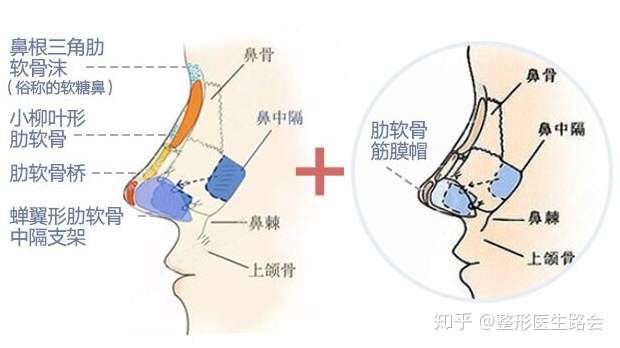 知乎删除问题不了?