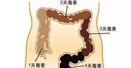 揉肚子好处多真的能治便秘吗