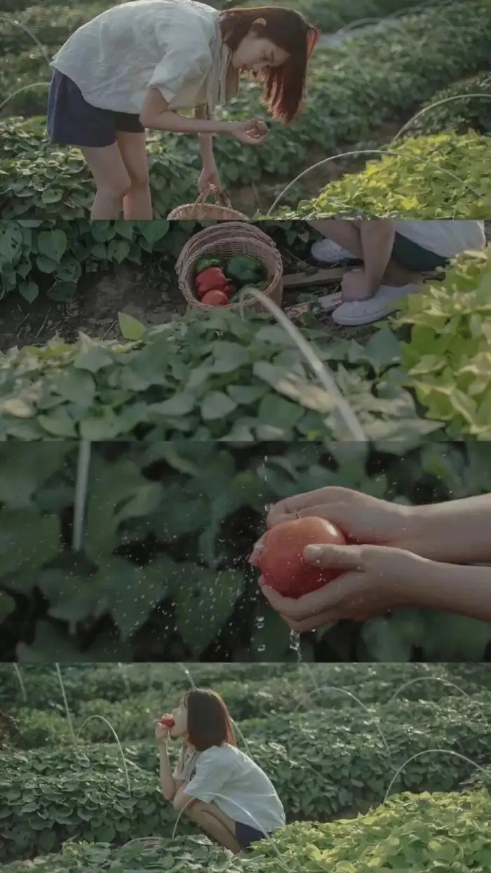 极富美感的绿色系壁纸（无水印）(绿色壁纸唯美可爱)