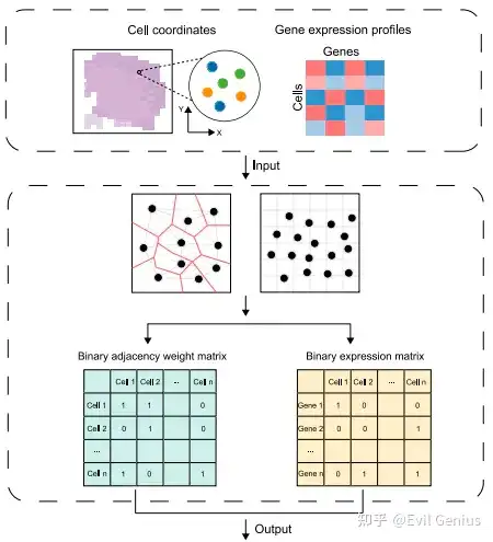 10x空间转录组重点分析合集3 知乎