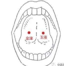 由舌根处左金津,右玉液二个穴分泌而出,所以唾又可直接称为金津玉液.