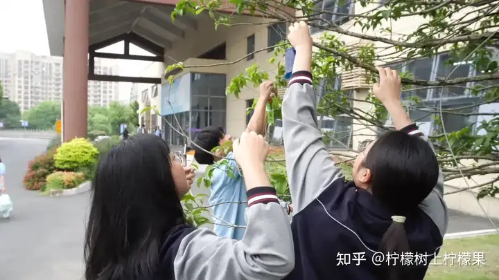 【活力校园】手绘风铃添彩 心融美育校园 | 塘栖校区组织开展手绘风铃活动(图9)