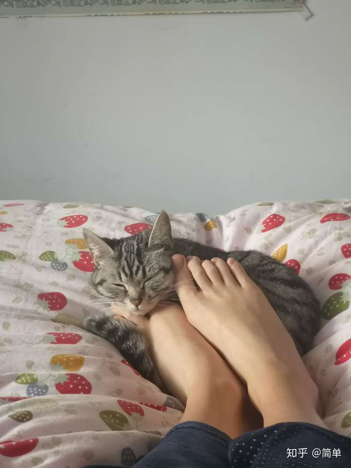 我的jiojio是香嘛,让你们那么宝贝 (开玩笑开玩笑,别打我)我第一次