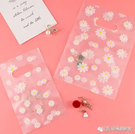 10款全网最红“饰品包装袋”，助力提升你整个店铺风格和档次！(图6)