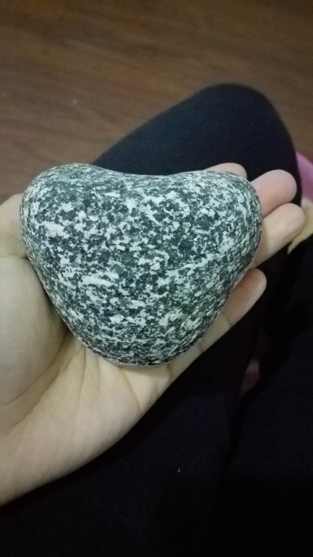 在海边捡到一块石头,形状有点奇怪,求鉴定!哪位大侠知道?