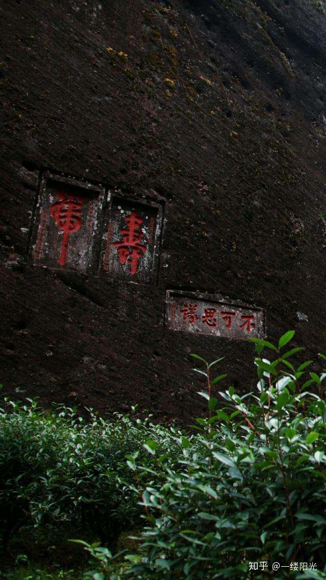 正岩 半岩 洲茶 外山怎么区分 关于武夷岩茶山场的最全手册 知乎