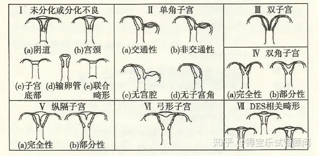 母唇子宫钝怠鹃衰待,娩羊宏探项强胎!(图1)