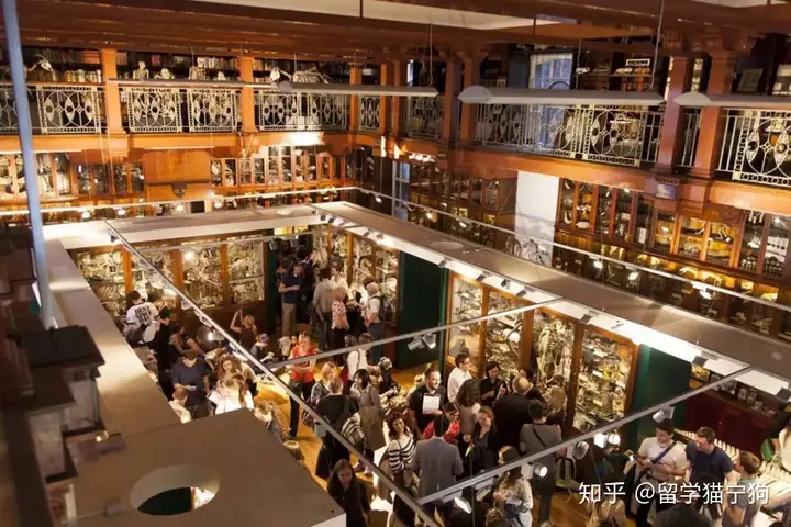 伦敦大学学院UCL