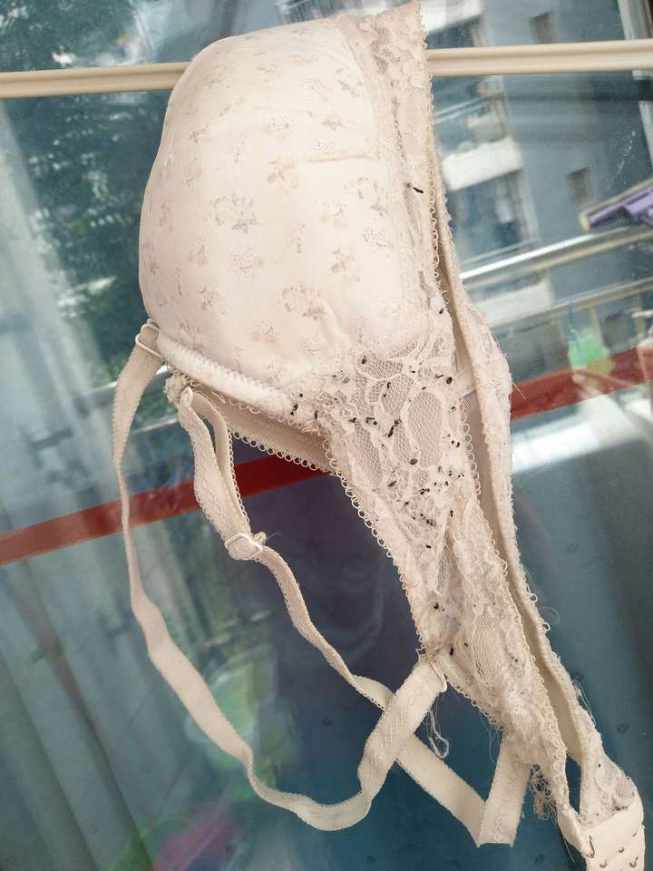 活这么大第一次见这么恶心的内衣!