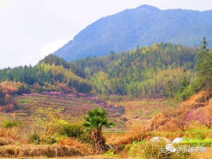 福建省寧德市古田縣鳳都鎮裡村是個什麼樣的村子