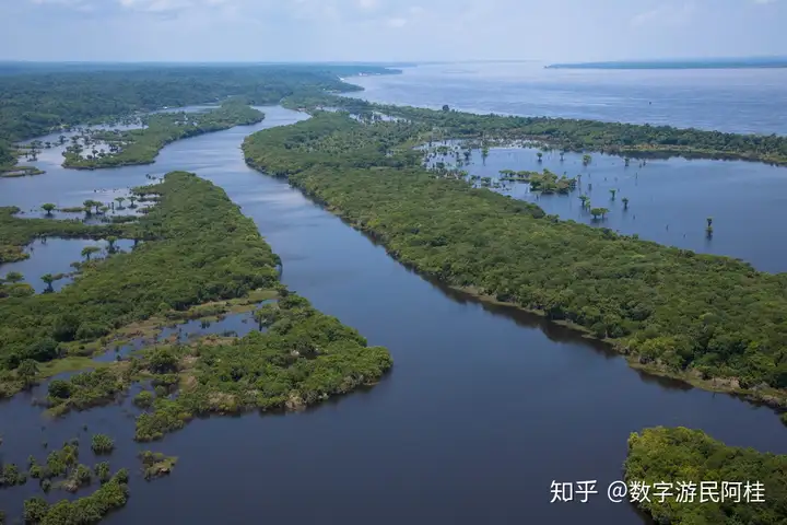 国内十大助孕机构价格多少（世界十大河流名称）世界上著名的十大河流，