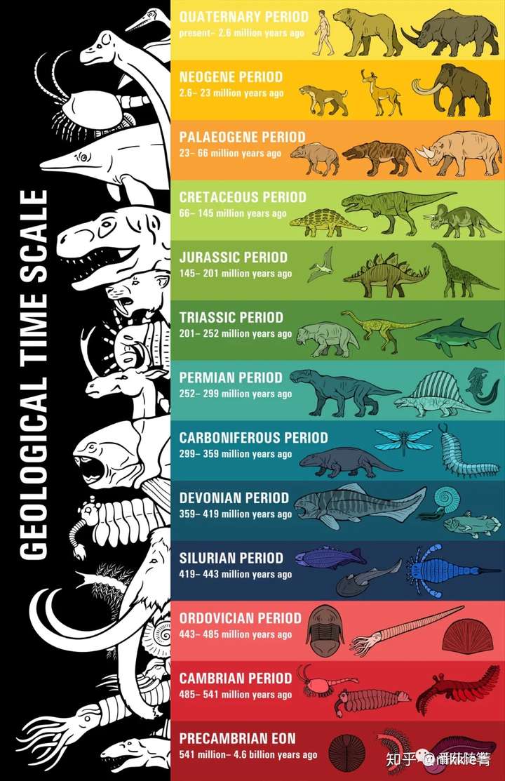 地球历史的各个纪元是怎么划分的